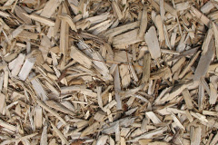 biomass boilers Catstree